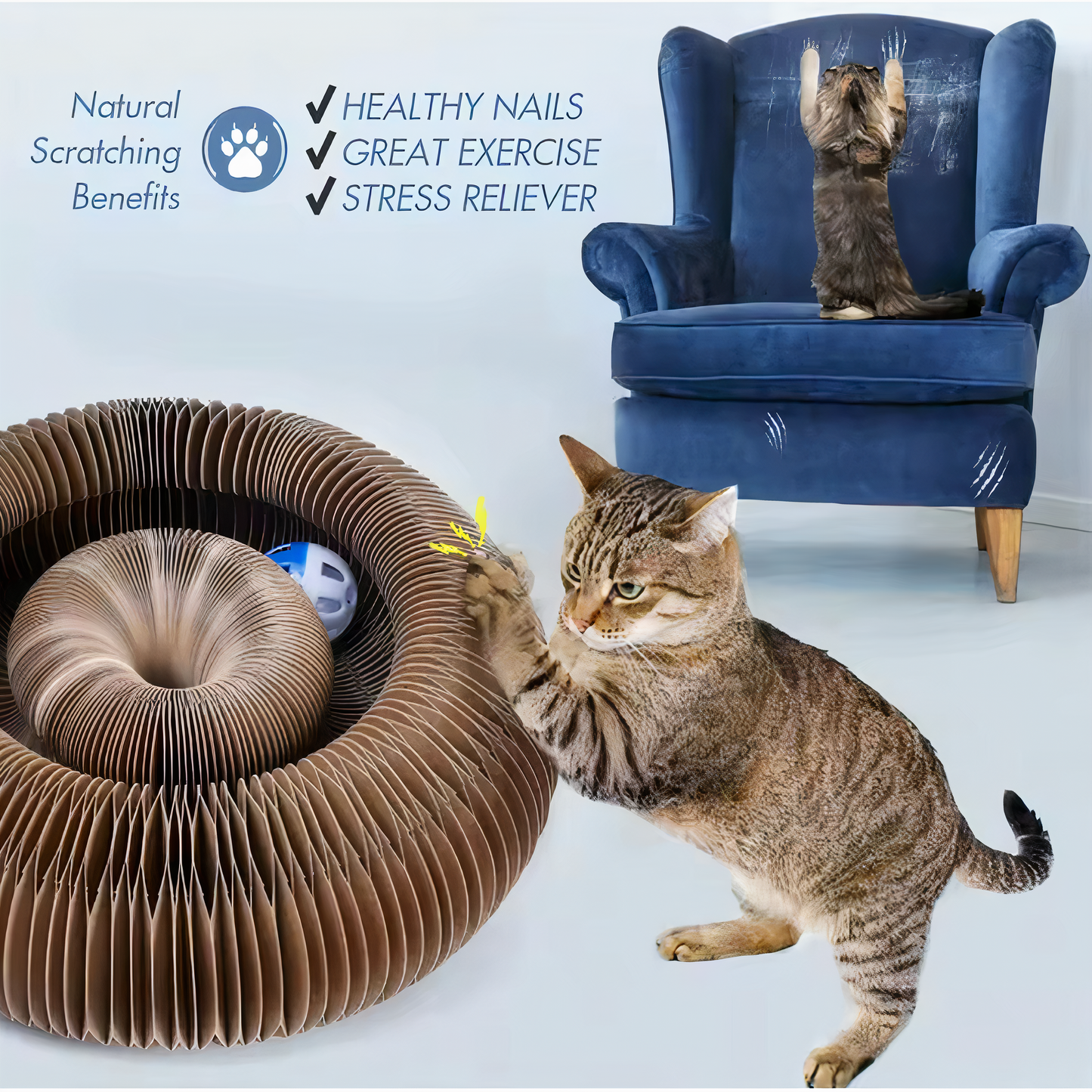 Kitty Loops™  Interactive Cat Toy And Snuggle Bed