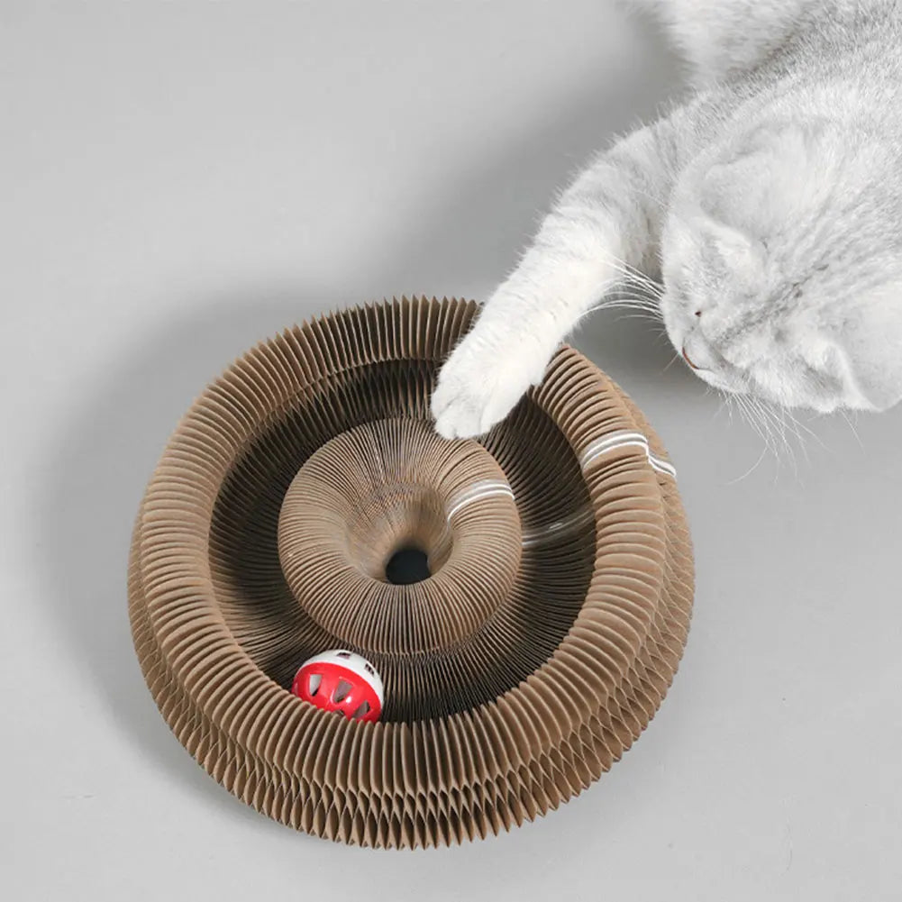 Kitty Loops™  Interactive Cat Toy And Snuggle Bed