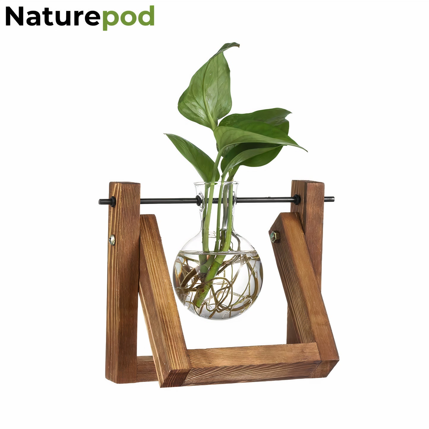 NaturePod™ Botanical Glass Vase